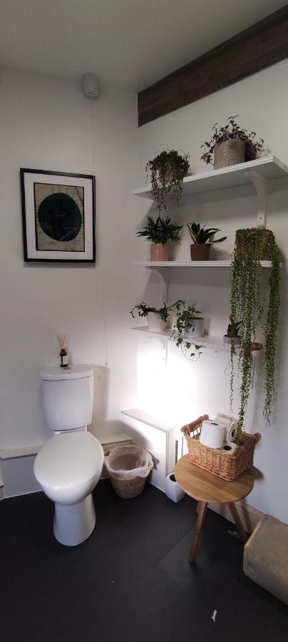 Adail Cottage Aberystwyth Esterno foto