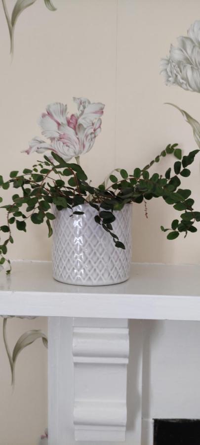 Adail Cottage Aberystwyth Esterno foto